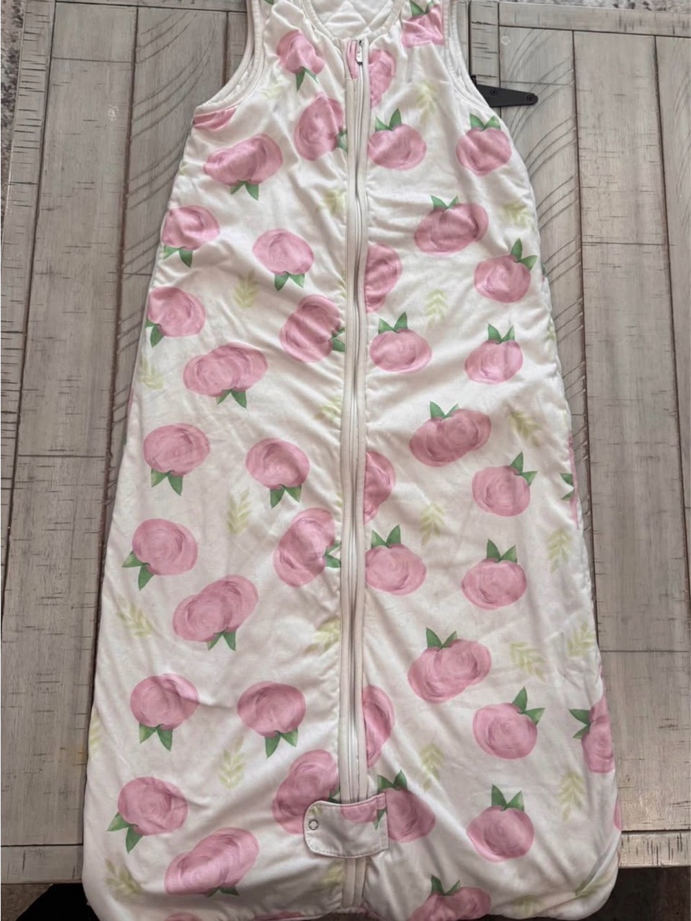 2T-4T Sleep Sack 1.0 TOG